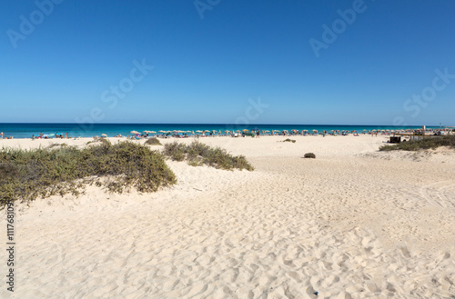 Tourists rest on Corralejo Beach on Fuerteventura  Canary Islands