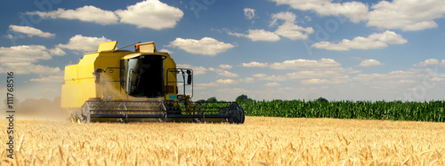 Harvester combine harvesting wheat on sunny summer day photo