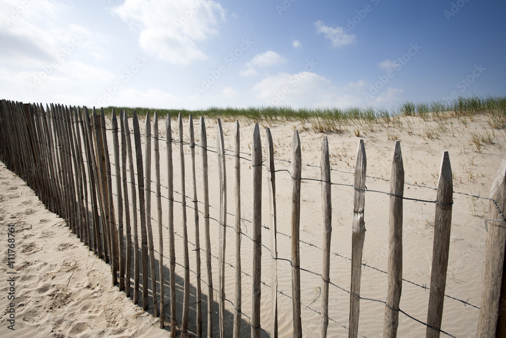 Wooden fence protecting the dunes in the Netherlands