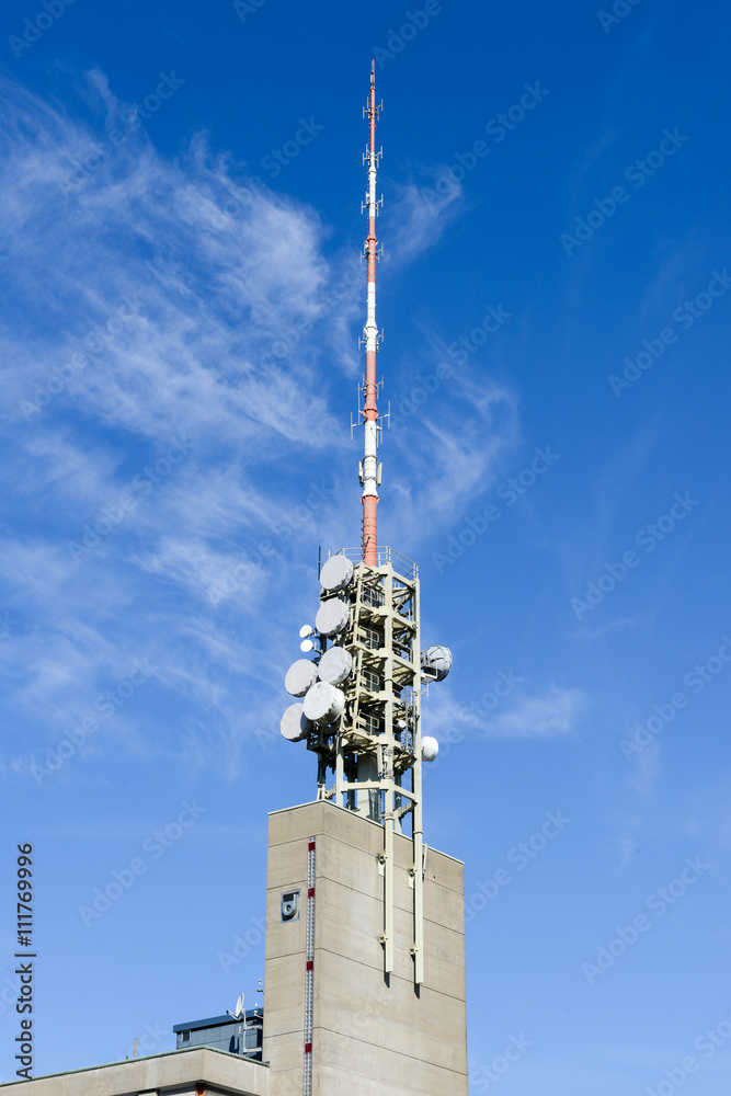 Telecommunication antenna with microwave link antennas Telecommunication antenna with microwave link antennas