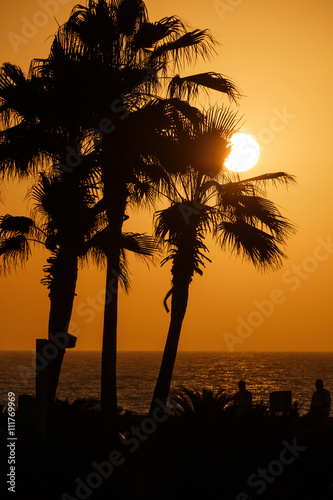 view on sunset behind palm trees