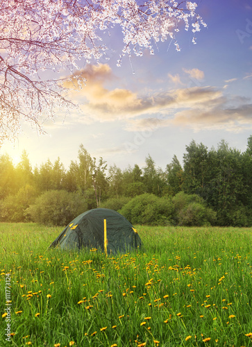 Spring at camping. tourist tent in the Norway mountains at sunrise. Vintage colored picture