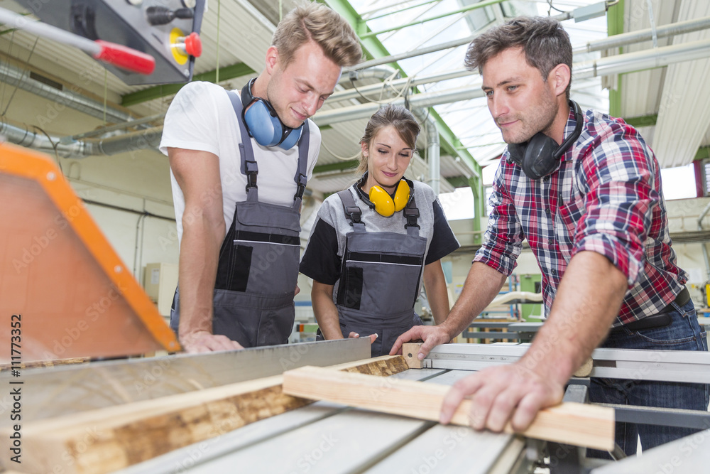 young apprentice with professional carpenter young apprentice with professional carpenter
