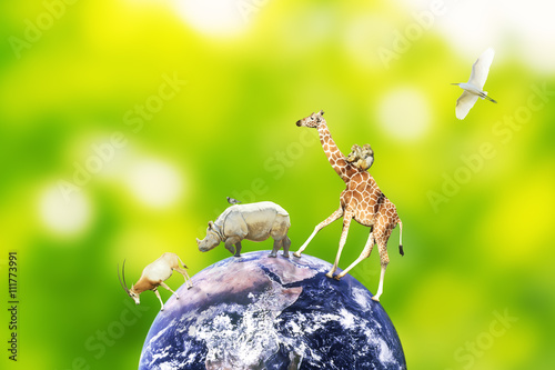 Concept of animal symbiosis on earth. Elements of this image furnished by NASA.