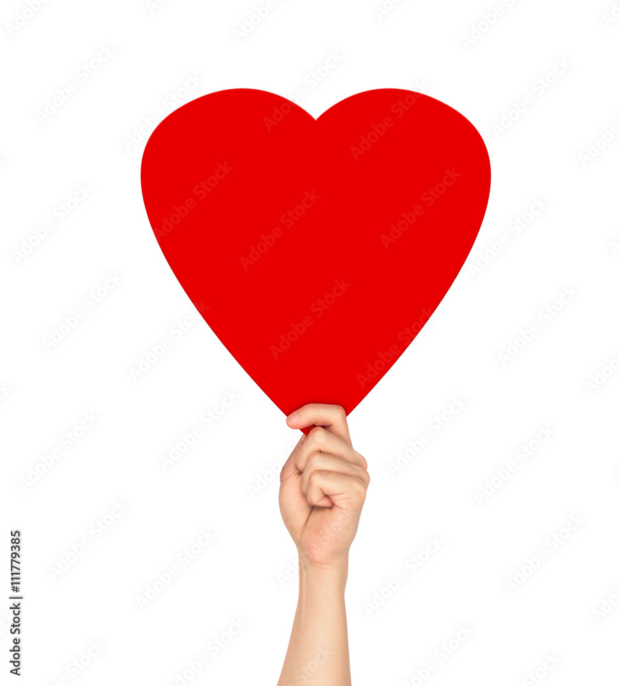 Hands holding two red hearts isolated on white