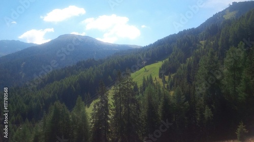 montagna con abeti