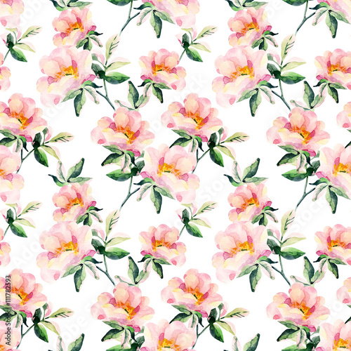 Watercolor briar flowers seamless pattern. Dog Rose branches