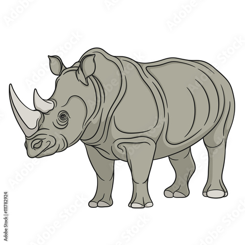 Vector color illustration rhinoceros. Isolated object on a white background.