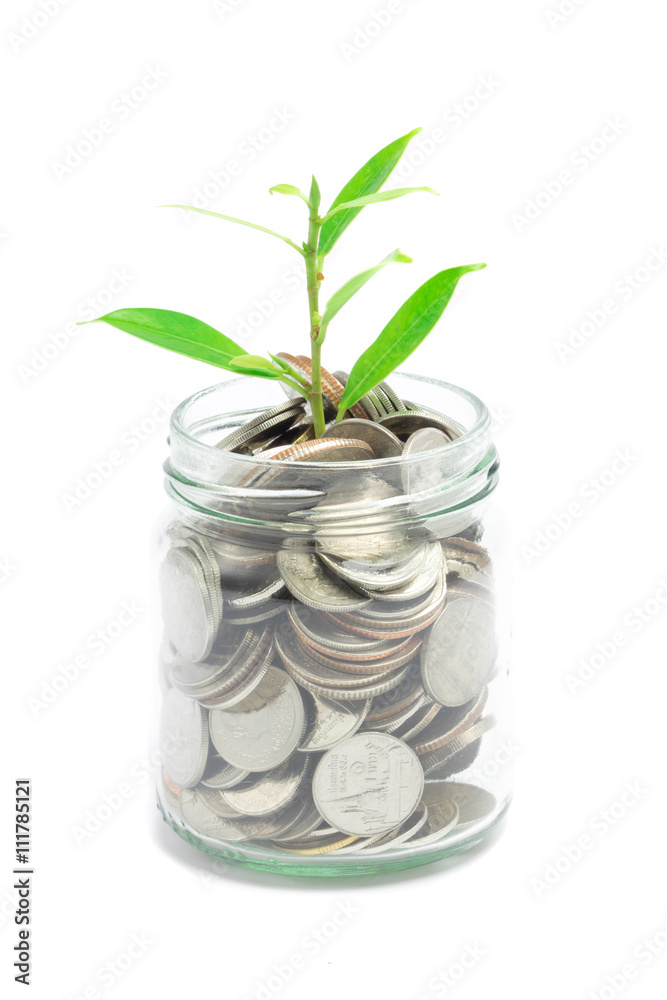 Mix coins with seed in clear bottle on white background,saving c Mix coins with seed in clear bottle on white background,saving c
