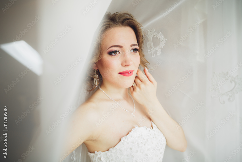 Portrait of beautiful bride with fashion veil and dress at wedding morning Portrait of beautiful bride with fashion veil and dress at wedding morning