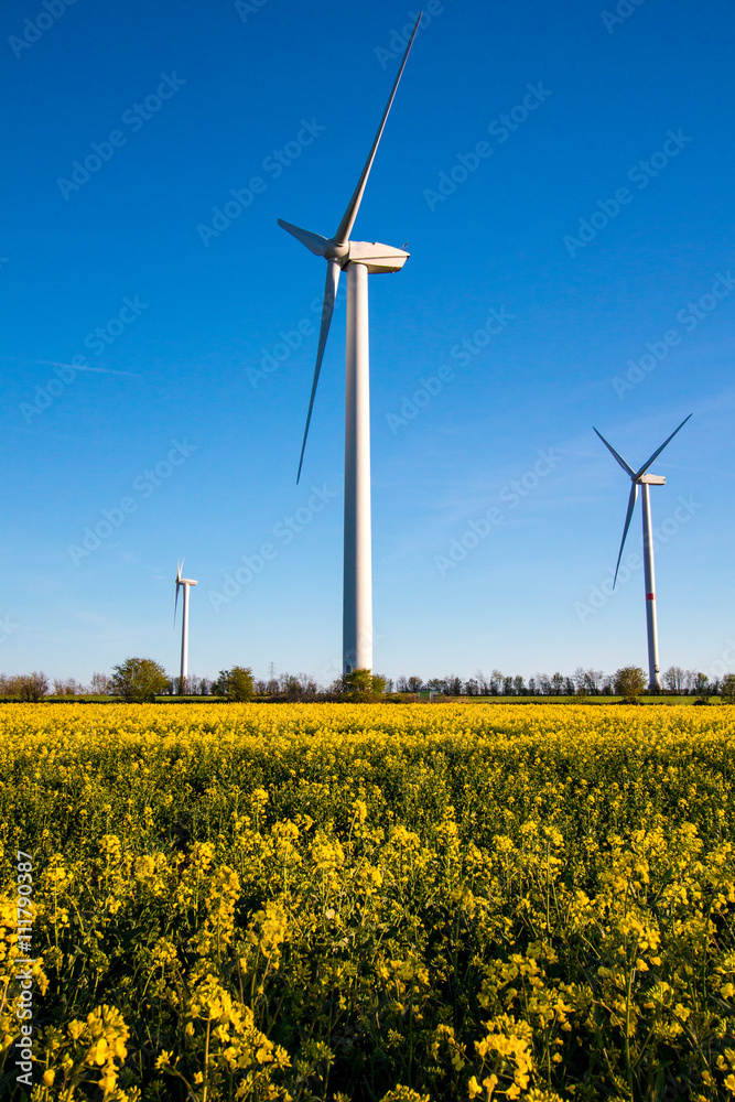 Wind Turbine - alternative and green energy source Wind Turbine - alternative and green energy source