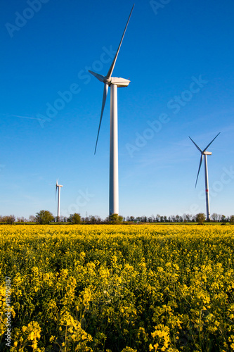 Wind Turbine - alternative and green energy source © Kunz Husum