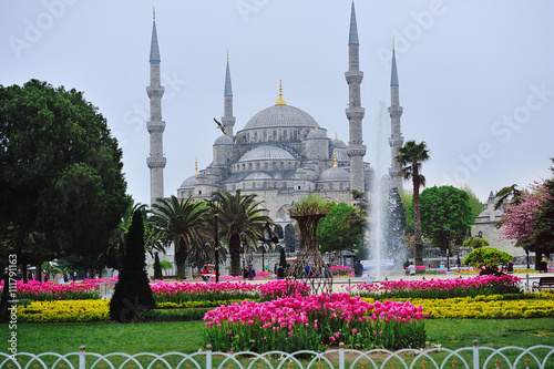 Valokuvatapetti Hagia Sophia in Istanbul, Turkey