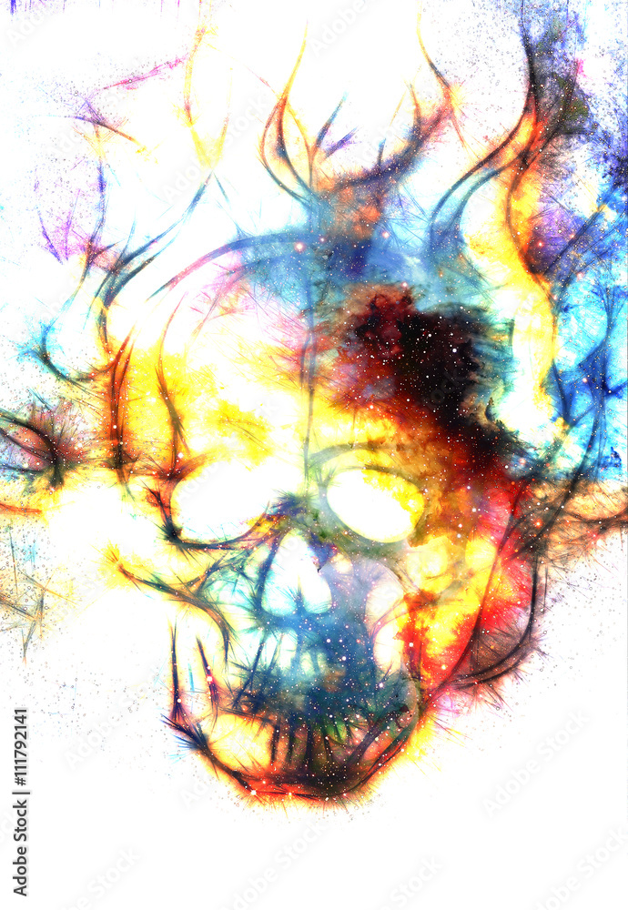 Fototapeta premium Skull and fractal effect. Color space background, computer collage. Elements of this image furnished by NASA.