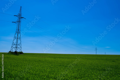 Electric pylons on a green field © anderm