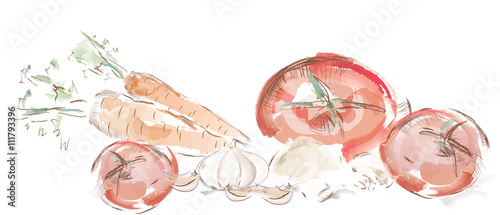 Watercolor vegetables. Tomatoes, Carrots, Mushrooms and Garlic