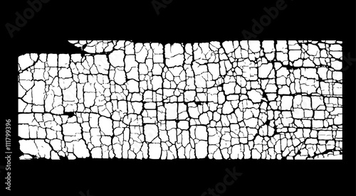 white on black craquelure background vector illustration