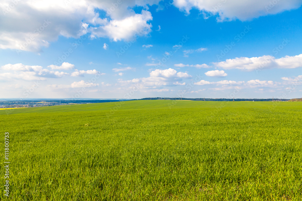 Beatiful green field with blue sky