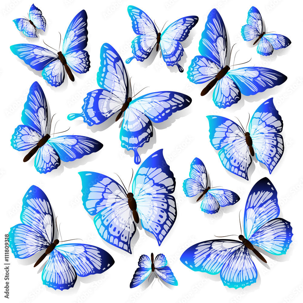 butterflies design butterflies design