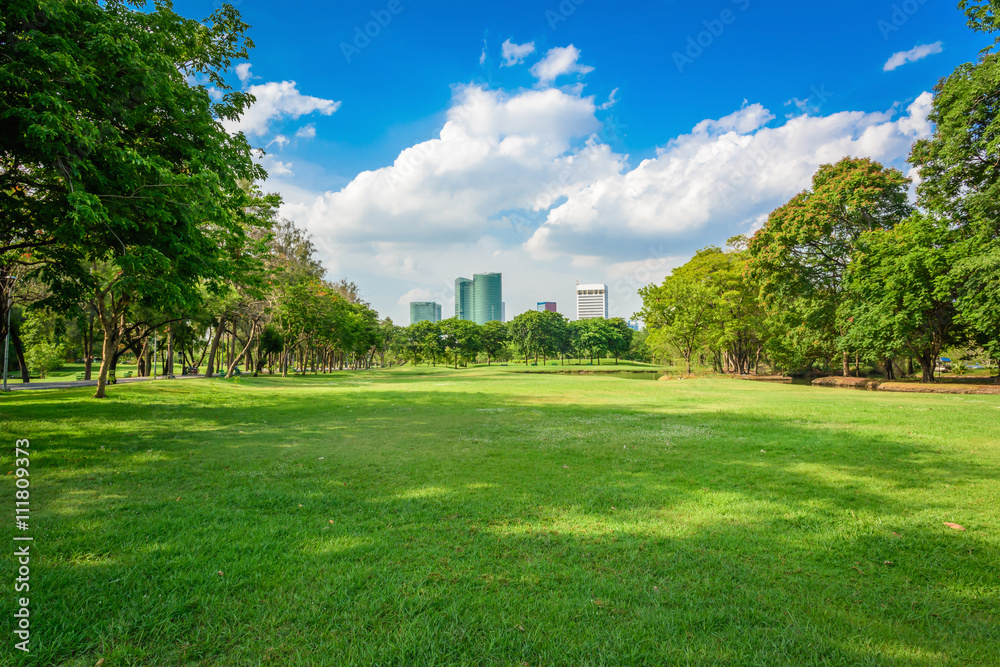Green lawn with blue sky in park