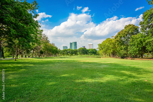 Green lawn with blue sky in park