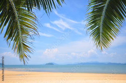 Fototapeta Naklejka Na Ścianę i Meble -  Coconut palm leaves and tropical beach background, happy summer holiday concept