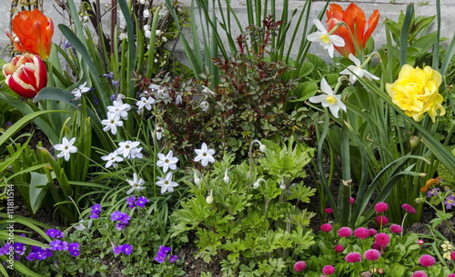 Background of flowers various in garden, Gerena, Sofia, Bulgaria photo