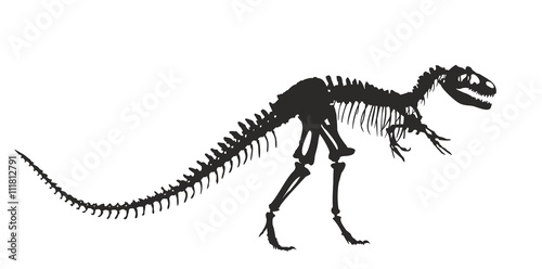 Skeleton of  dinosaur. 