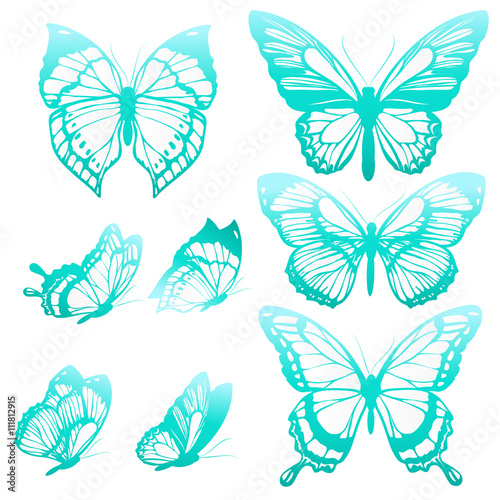 butterflies design