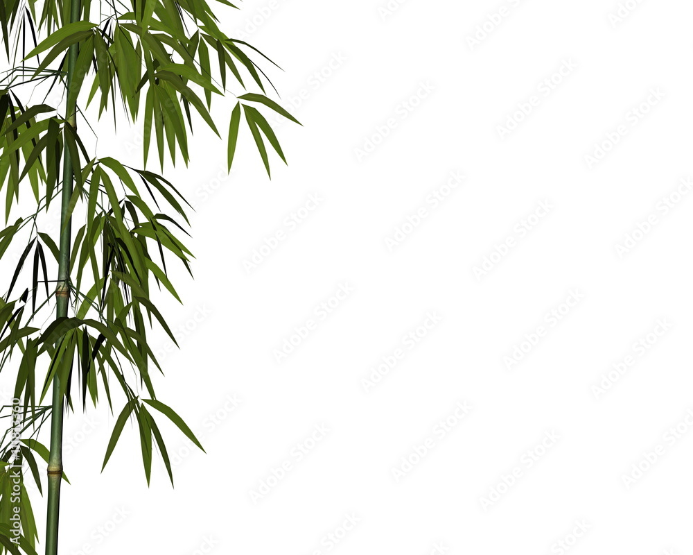 Bamboo - 3D render Bamboo - 3D render