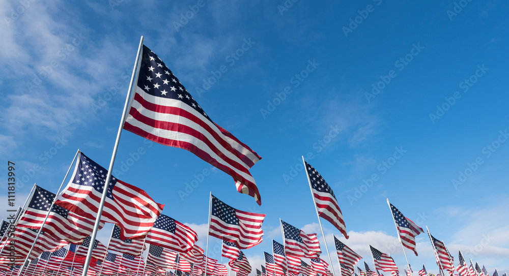 Field of American Flags