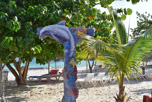 Dolphin beach shower photo