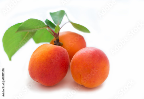 Apricots Isolated On white