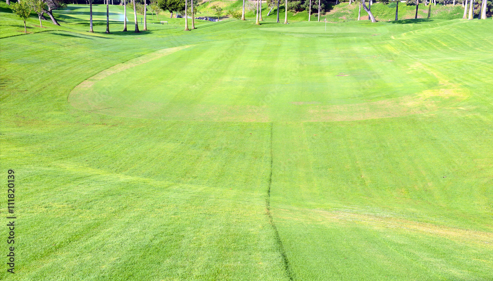 Green grass fairway on golf course
