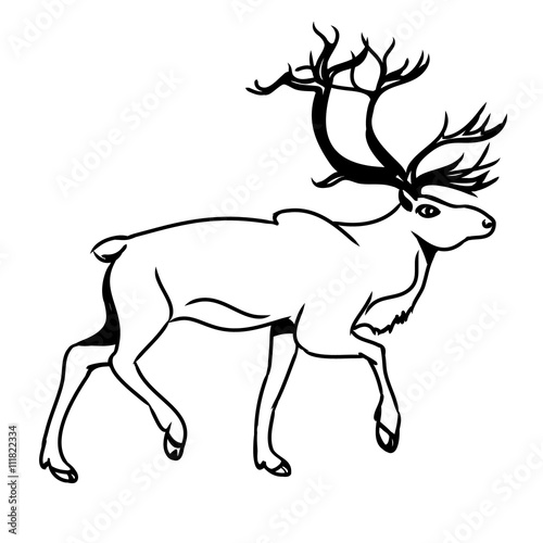 Grey deer  contour 2