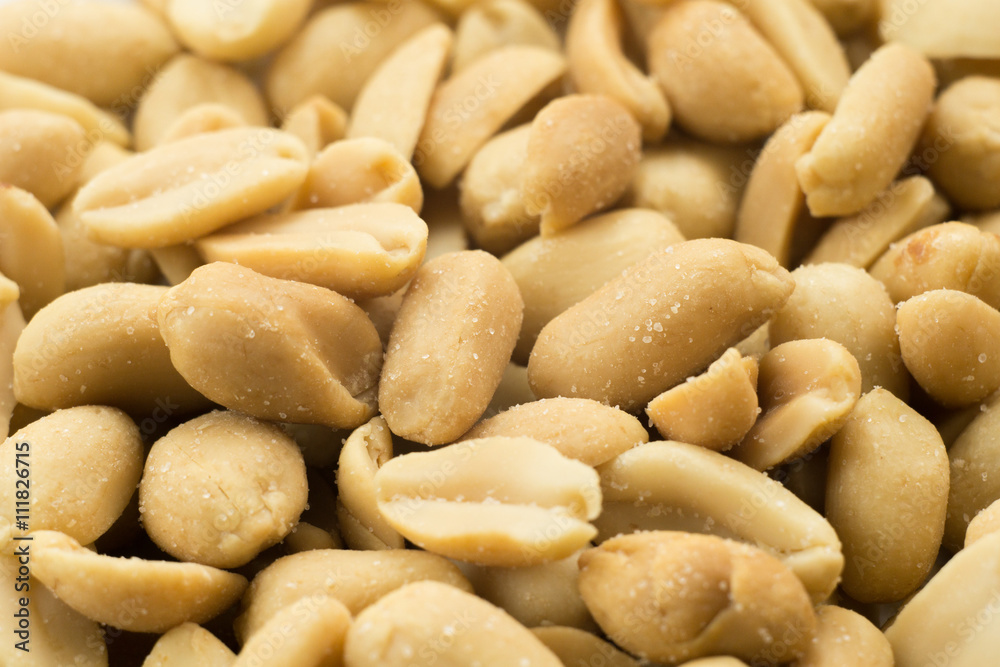 seeds of peanuts photo seeds of peanuts photo