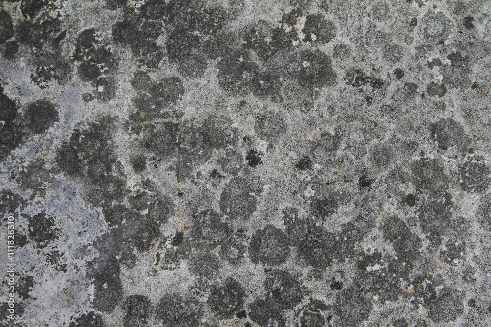 stained concrete grunge texture stained concrete grunge texture