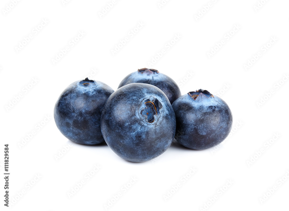 blueberry isolated on the white background blueberry isolated on the white background