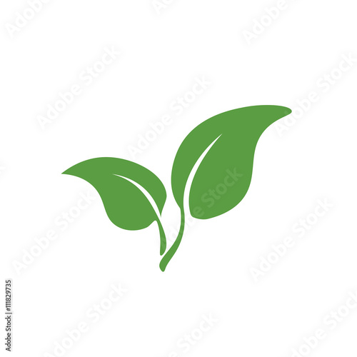 leaf icon,  ecology green icons set on white background