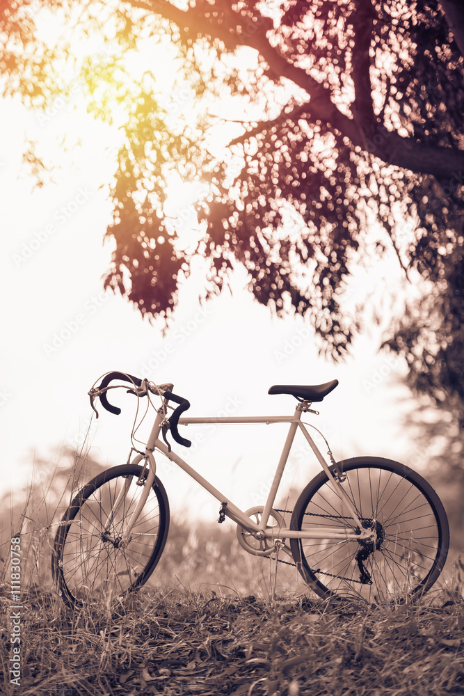 beautiful landscape image with sport vintage bicycle at sunset