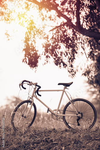 beautiful landscape image with sport vintage bicycle at sunset © Looker_Studio