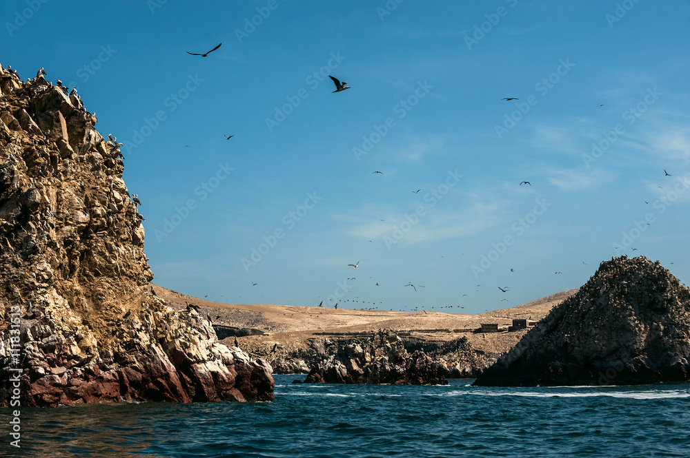 Ballestas Islands, Paracas National Reserve. Peru Ballestas Islands, Paracas National Reserve. Peru