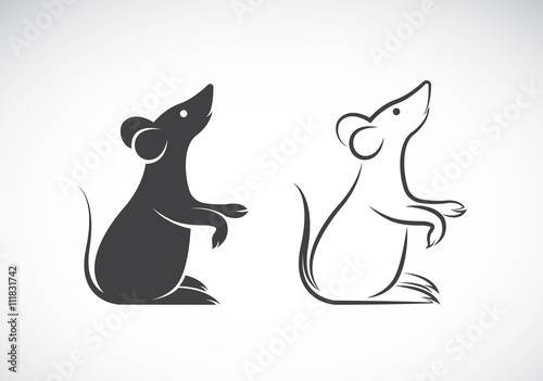 Vector of a rat design on white background. Animals.