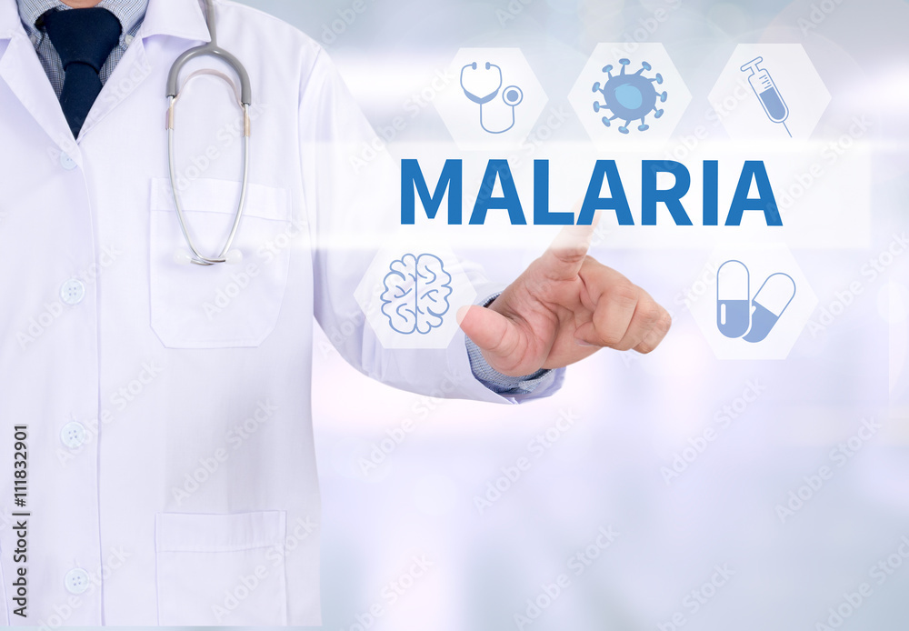 MALARIA MALARIA