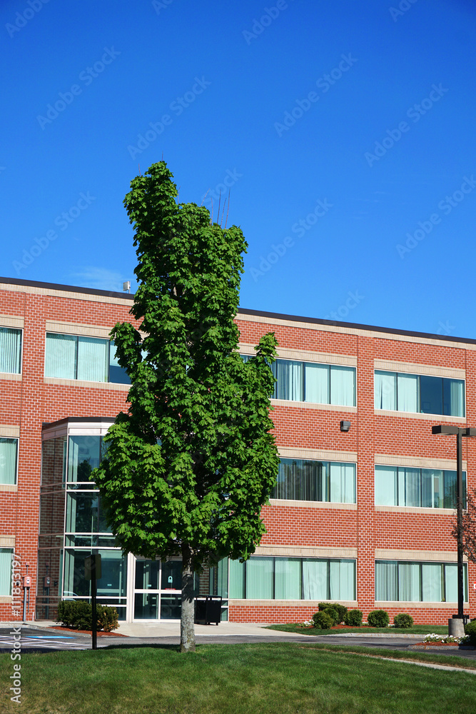 industrial building exterior and green tree in spring