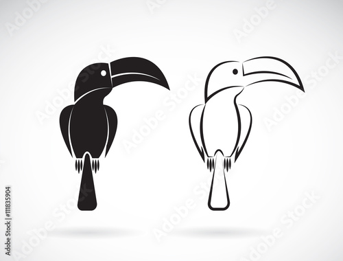 Vector image of an toucan bird design on white background