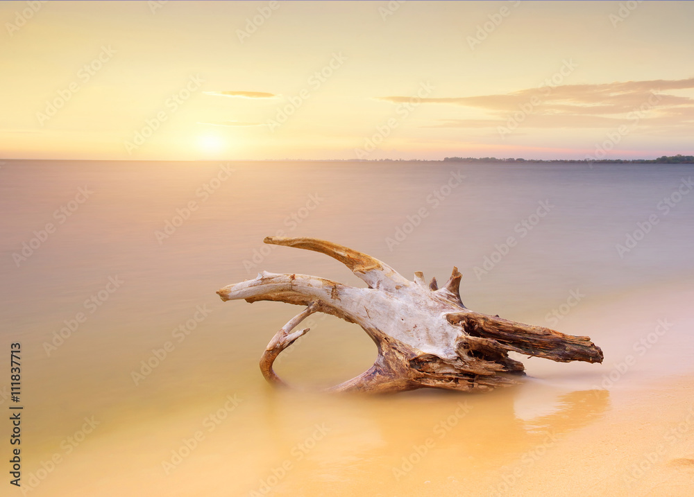 Obraz premium Seascape during sunrise. Beautiful natural summer seascape 