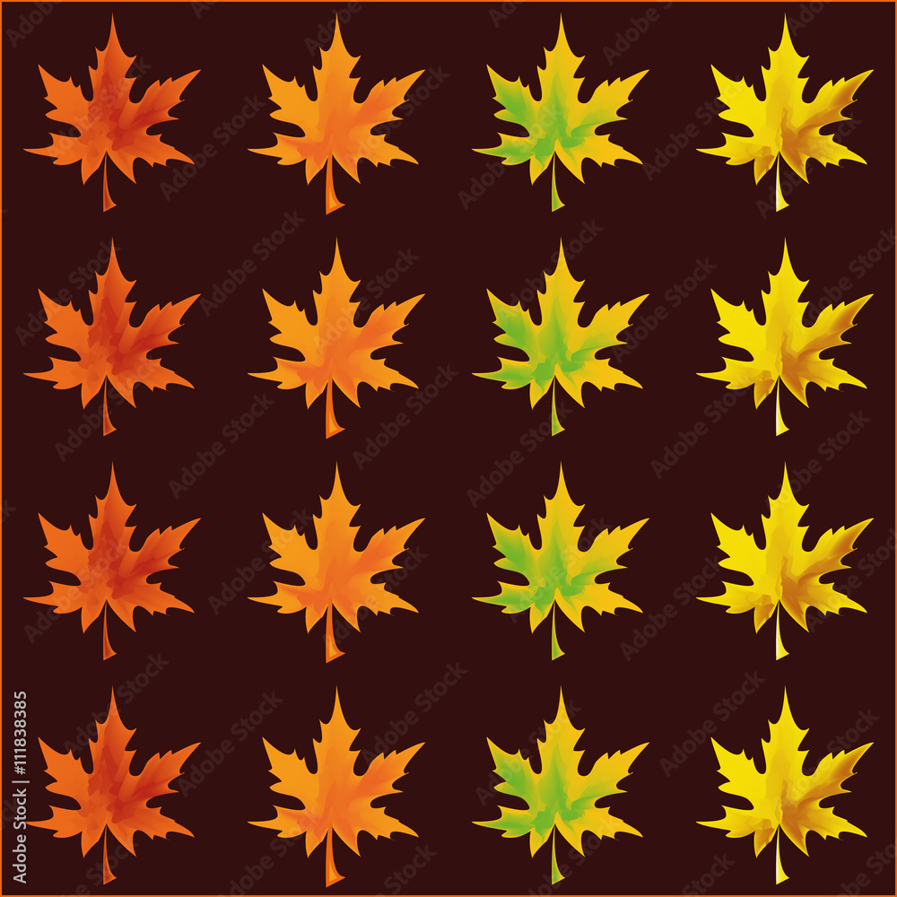 Autumn leaves, Set of leaves in autumn colors Autumn leaves, Set of leaves in autumn colors