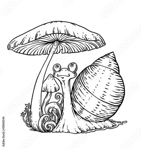 Snail and mushroom