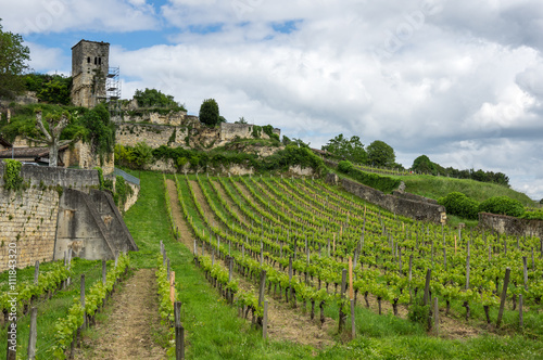Fototapete Vineyards of Saint-Emilion